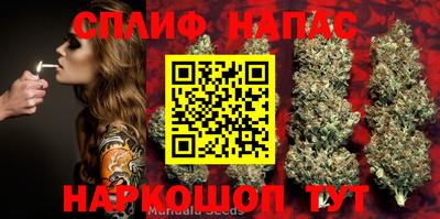 ПСИЛОЦИБИНОВЫЕ ГРИБЫ Нарткала